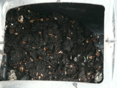 The compost- GROSS! but oh so good.